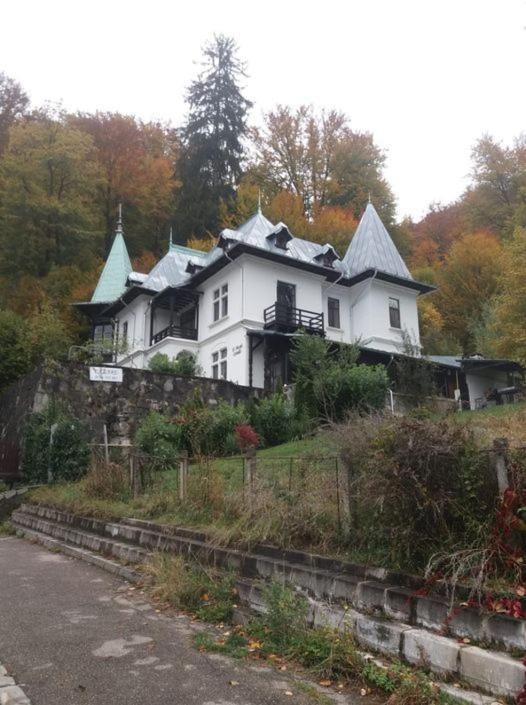 Il Piccolo Castello Buşteni Zewnętrze zdjęcie